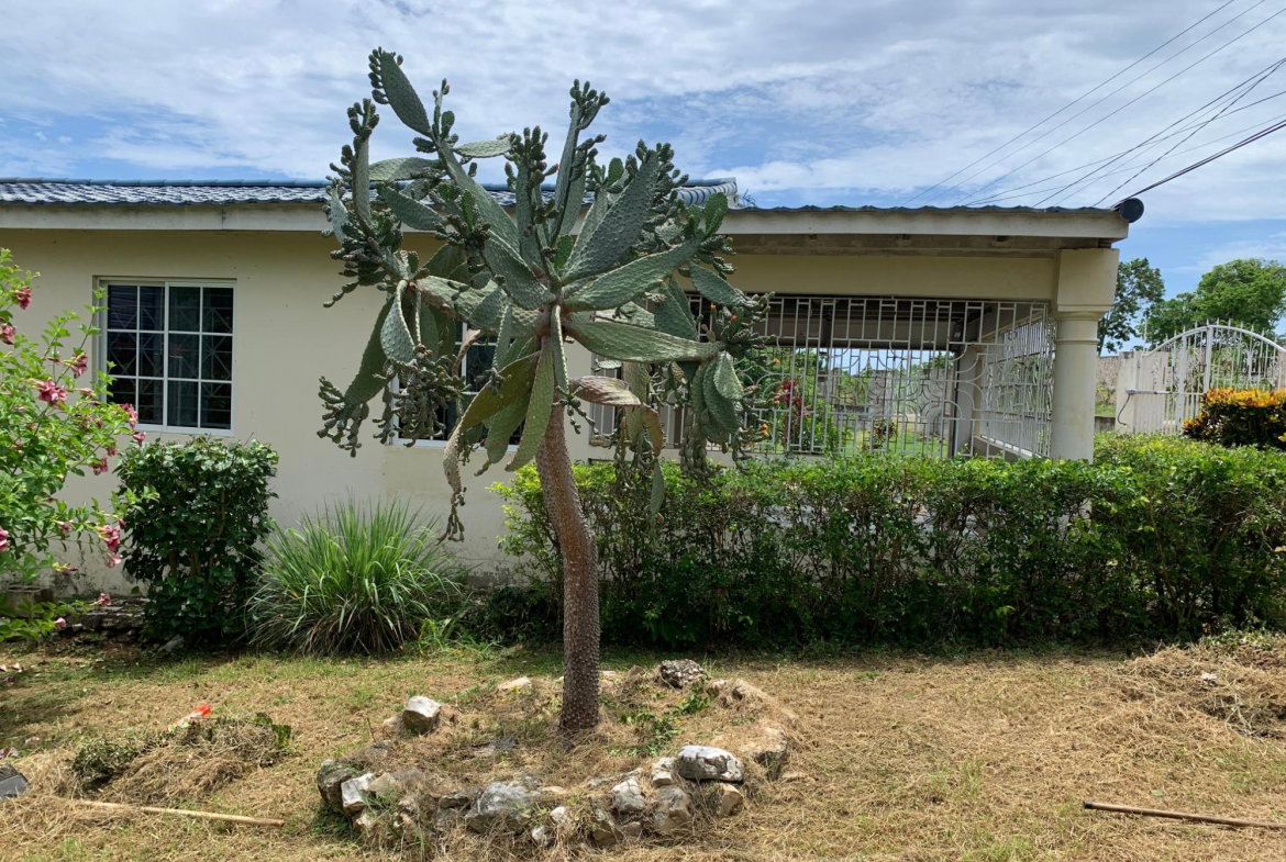 Eleventh image of 159 Seaview Ave, Wiltshire in Salt Marsh, Trelawny, Jamaica - property is For Sale