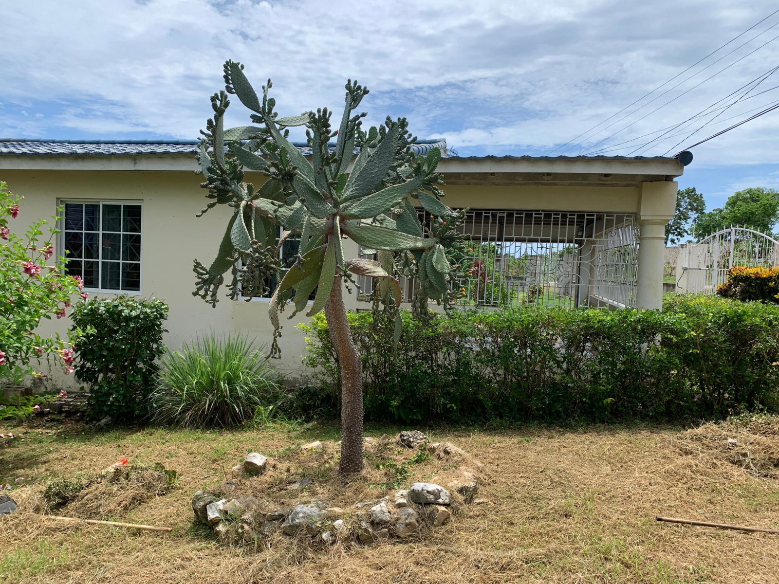 Eleventh image of 159 Seaview Ave, Wiltshire in Salt Marsh, Trelawny, Jamaica - property is For Sale