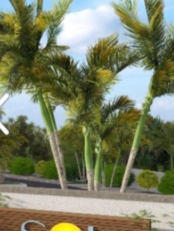 Third image of Bldg 1-205- Shaw Park , St. Ann in Ocho Rios, St. Ann, Jamaica - property is For Sale