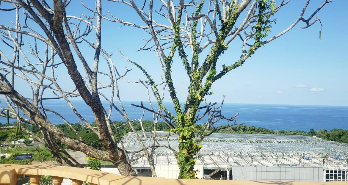 Eighth image of Th2-2 Mansfield Drive, st Ann in Ocho Rios, St. Ann, Jamaica - property is For Sale