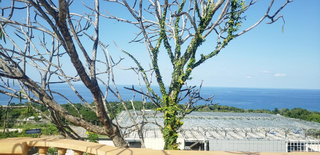 Eighth image of Th2-2 Mansfield Drive, st Ann in Ocho Rios, St. Ann, Jamaica - property is For Sale