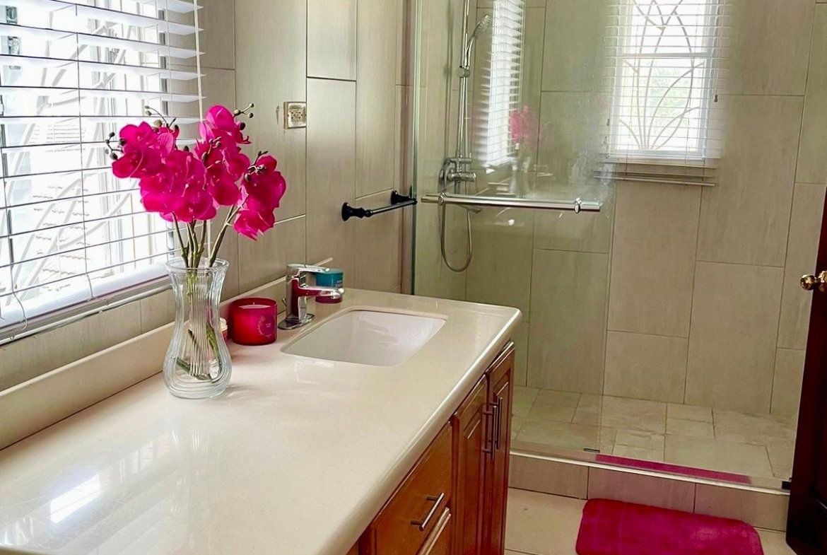 Twentieth image of 53 Paddington Terrace in Kingston 6, St. Andrew, Jamaica - property is For Sale