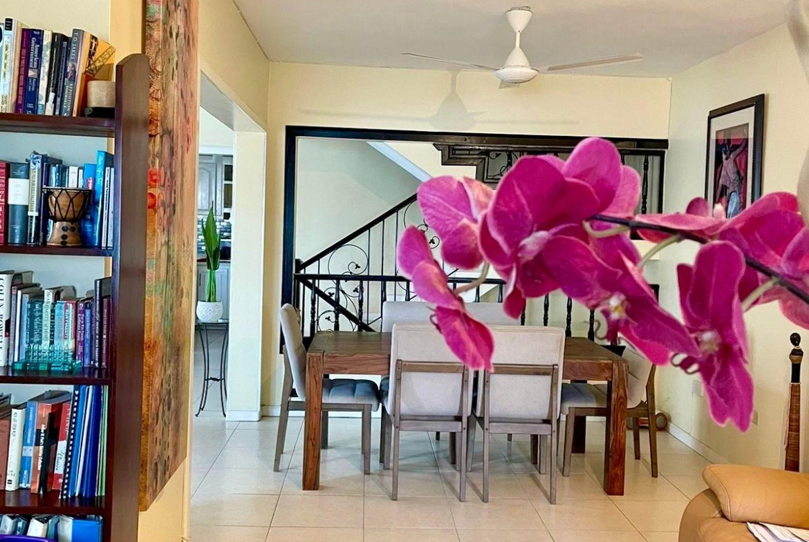Eighth image of 53 Paddington Terrace in Kingston 6, St. Andrew, Jamaica - property is For Sale
