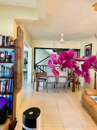 Eighth image of 53 Paddington Terrace in Kingston 6, St. Andrew, Jamaica - property is For Sale