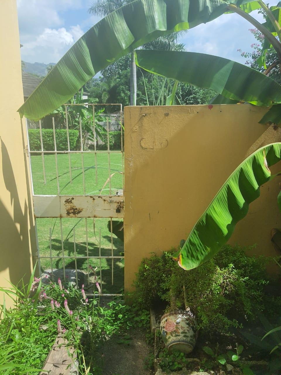 Twenty-Eighth image of 50 2-4 Waterworks Road in CONSTANT SPRING, St. Andrew, Jamaica - property is For Sale