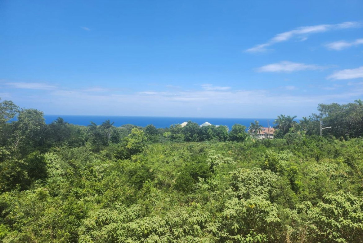 Thirteenth image of 126 Spring Farm Drive in Rose Hall, St. James, Jamaica - property is For Sale