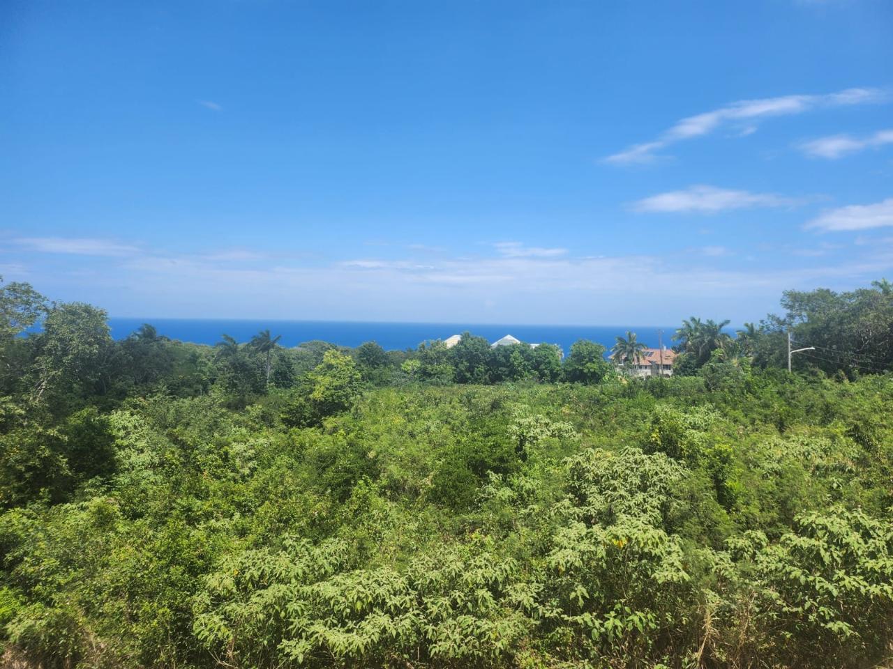 Thirteenth image of 126 Spring Farm Drive in Rose Hall, St. James, Jamaica - property is For Sale