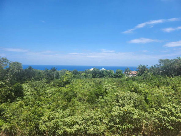 Thirteenth image of 126 Spring Farm Drive in Rose Hall, St. James, Jamaica - property is For Sale