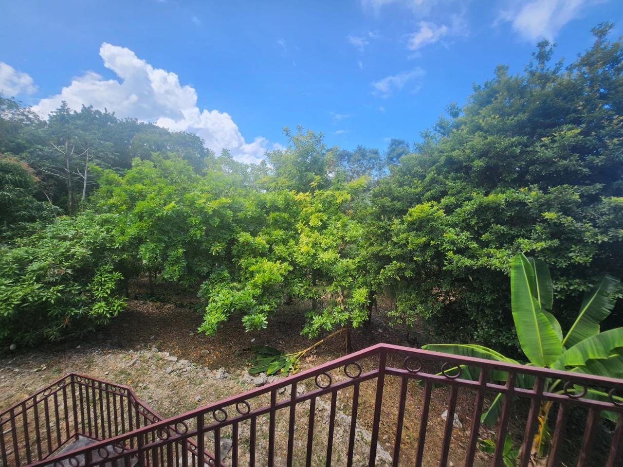Fifteenth image of 126 Spring Farm Drive in Rose Hall, St. James, Jamaica - property is For Sale