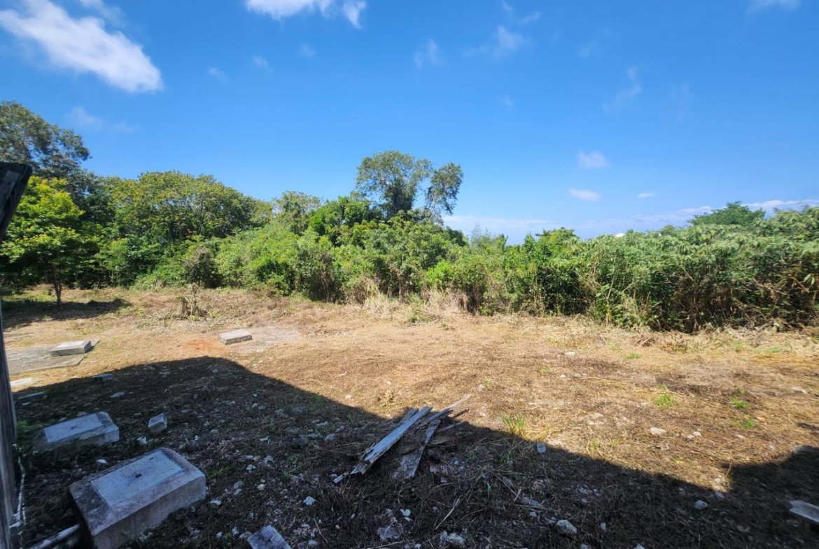 Sixteenth image of 126 Spring Farm Drive in Rose Hall, St. James, Jamaica - property is For Sale