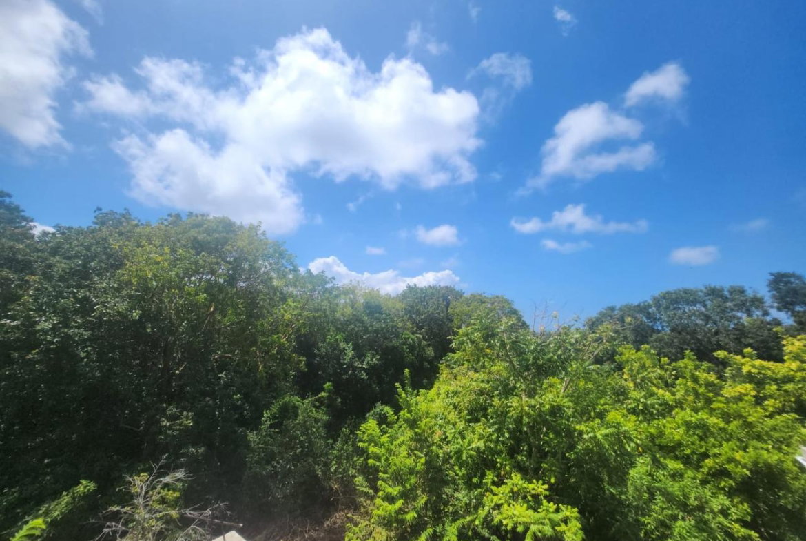 Nineteenth image of 126 Spring Farm Drive in Rose Hall, St. James, Jamaica - property is For Sale