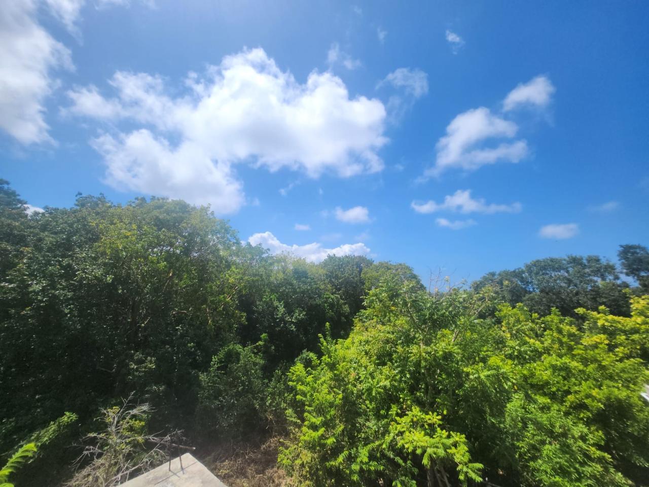 Nineteenth image of 126 Spring Farm Drive in Rose Hall, St. James, Jamaica - property is For Sale