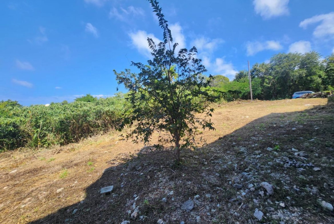 Twentieth image of 126 Spring Farm Drive in Rose Hall, St. James, Jamaica - property is For Sale