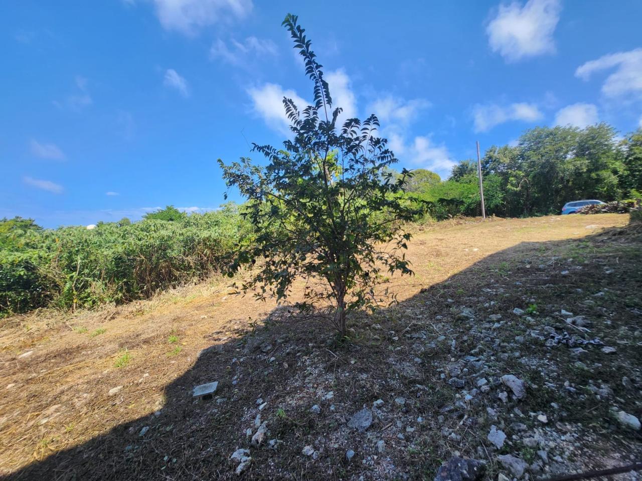Twentieth image of 126 Spring Farm Drive in Rose Hall, St. James, Jamaica - property is For Sale