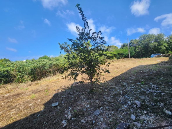 Twentieth image of 126 Spring Farm Drive in Rose Hall, St. James, Jamaica - property is For Sale