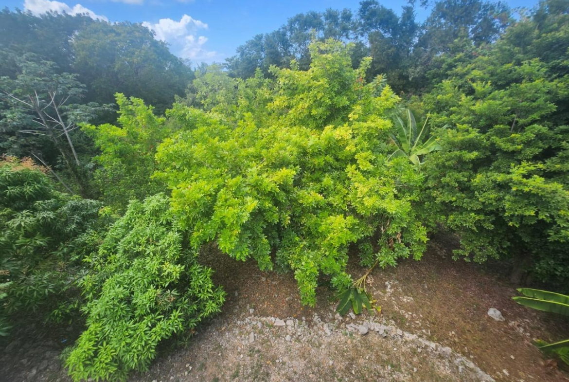 Twenty-Third image of 126 Spring Farm Drive in Rose Hall, St. James, Jamaica - property is For Sale