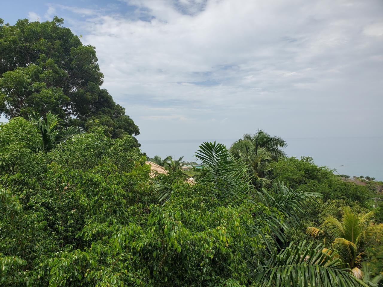 Twentieth image of 66 Culloden by The Sea in White House WD, Westmoreland, Jamaica - property is For Sale