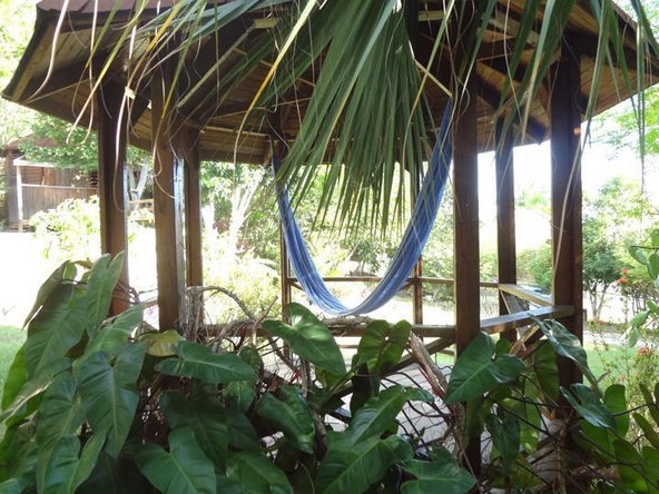 Twenty-Third image of 66 Culloden by The Sea in White House WD, Westmoreland, Jamaica - property is For Sale