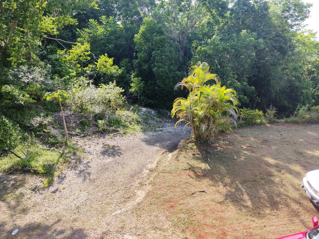 Twenty-First image of 8 Top Hill in Retreat, Westmoreland, Jamaica - property is For Sale