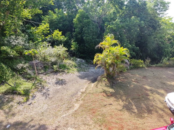 Twenty-First image of 8 Top Hill in Retreat, Westmoreland, Jamaica - property is For Sale