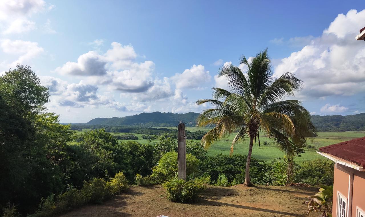 Twenty-Second image of 8 Top Hill in Retreat, Westmoreland, Jamaica - property is For Sale