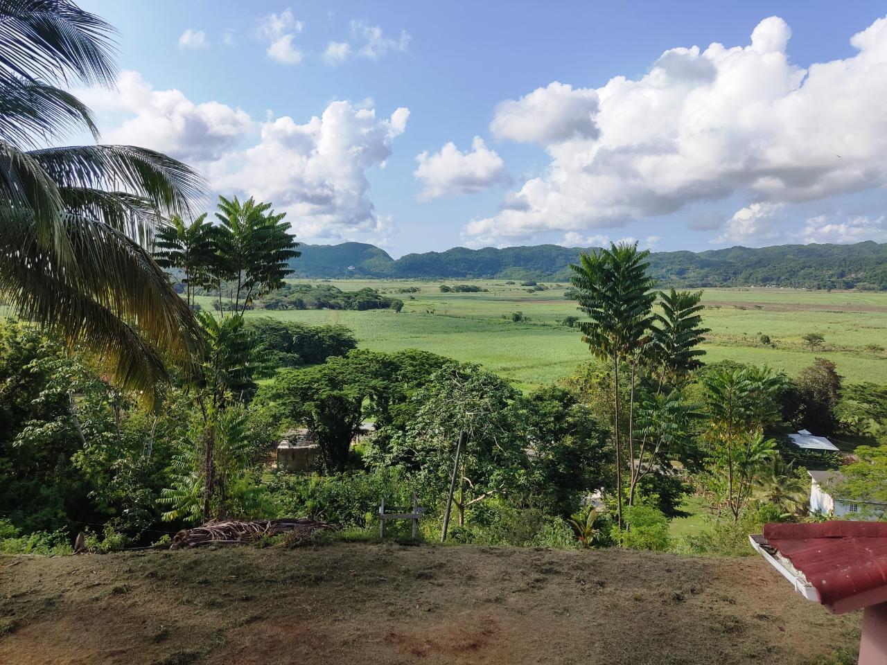 Eighth image of 8 Top Hill in Retreat, Westmoreland, Jamaica - property is For Sale