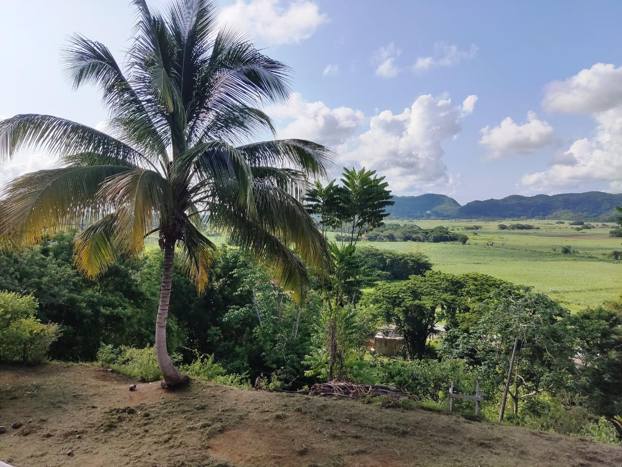 Ninth image of 8 Top Hill in Retreat, Westmoreland, Jamaica - property is For Sale