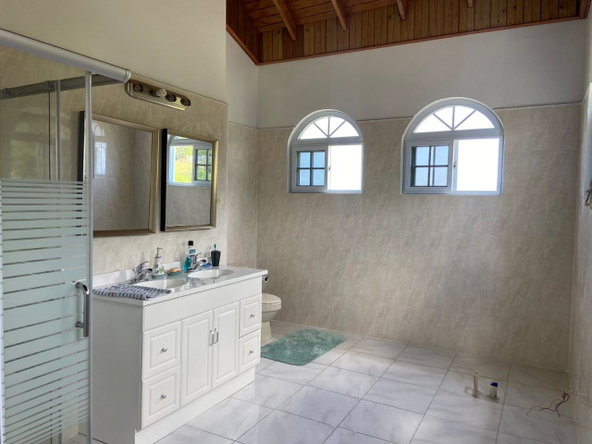 Twenty-Third image of Whitehouse Westmoreland in White House WD, Westmoreland, Jamaica - property is For Sale