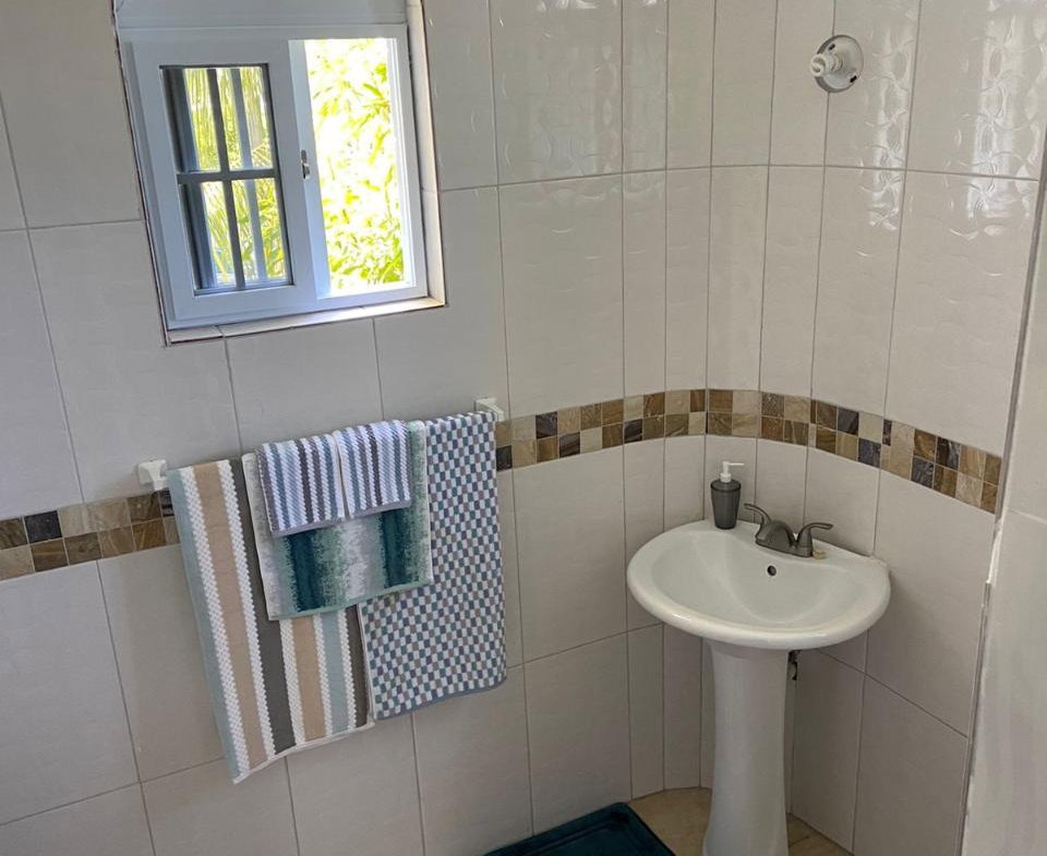 Twenty-Ninth image of Whitehouse Westmoreland in White House WD, Westmoreland, Jamaica - property is For Sale