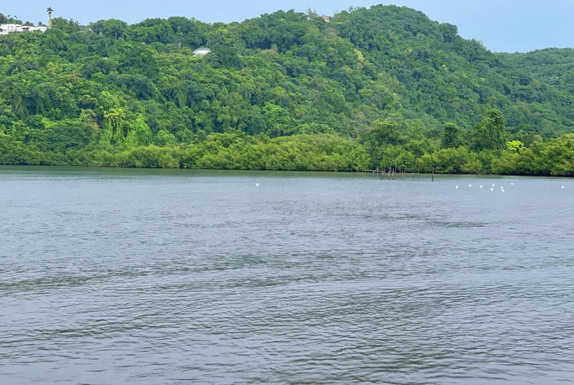 Ninth image of Anchovy Port Antonio in Port Antonio, Portland, Jamaica - property is For Sale