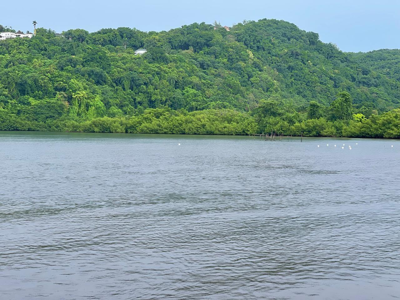 Ninth image of Anchovy Port Antonio in Port Antonio, Portland, Jamaica - property is For Sale