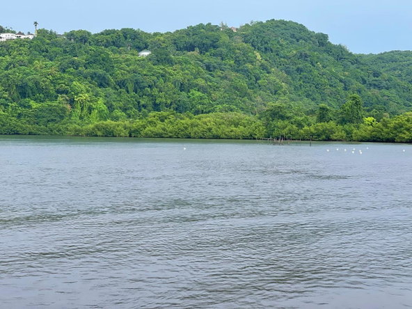 Ninth image of Anchovy Port Antonio in Port Antonio, Portland, Jamaica - property is For Sale