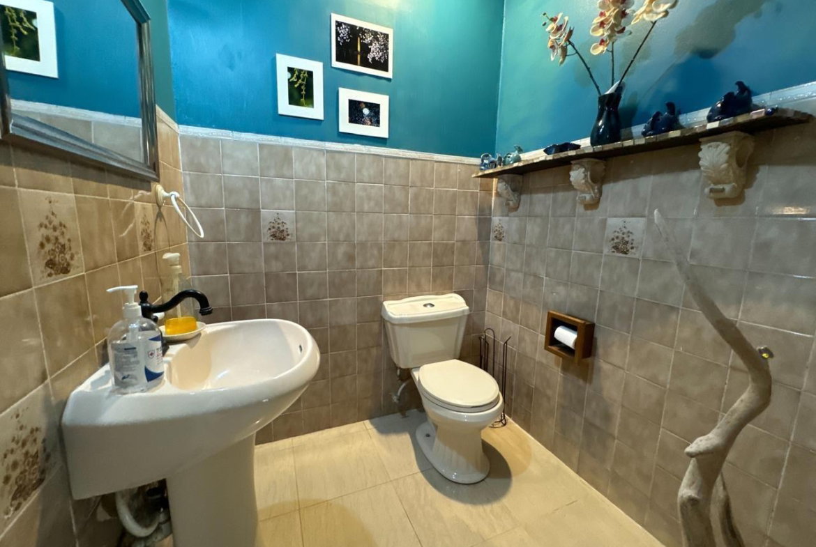 Twenty-First image of 204 Pegasus Place, Smokey Val in Kingston 8, St. Andrew, Jamaica - property is For Sale