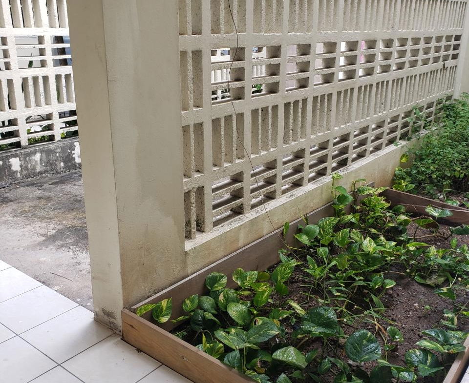 Sixteenth image of 20-36 Acadia Drive in Kingston 6, St. Andrew, Jamaica - property is For Rent