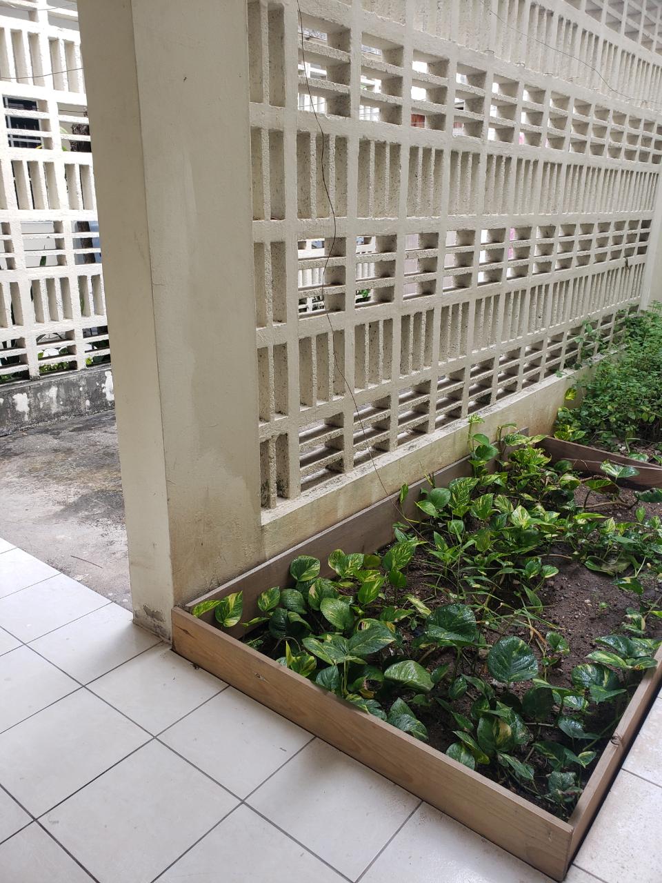 Sixteenth image of 20-36 Acadia Drive in Kingston 6, St. Andrew, Jamaica - property is For Rent