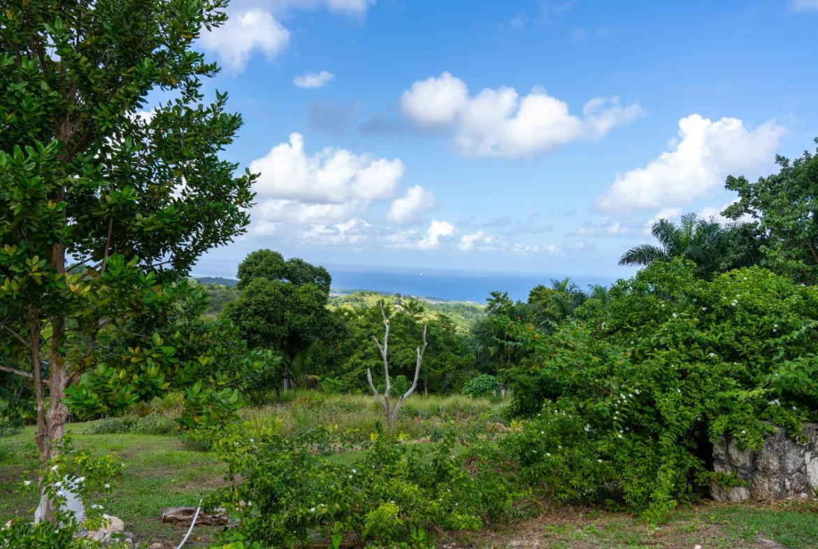 Tenth image of 11 Sussex Land, Lime Hall in St. Ann's Bay, St. Ann, Jamaica - property is For Sale