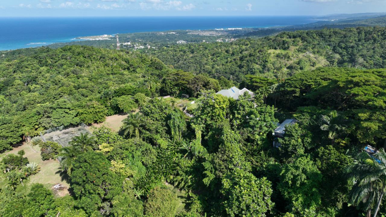 Eleventh image of 11 Sussex, Lime Hall, st Ann in St. Ann's Bay, St. Ann, Jamaica - property is For Sale