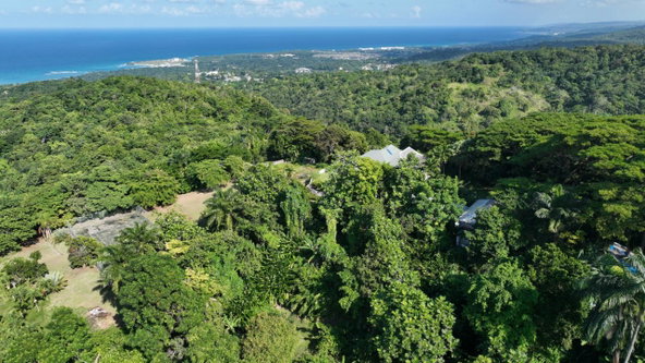 Eleventh image of 11 Sussex, Lime Hall, st Ann in St. Ann's Bay, St. Ann, Jamaica - property is For Sale