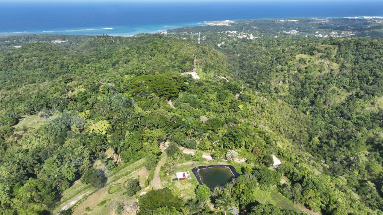 Twelfth image of 11 Sussex, Lime Hall, st Ann in St. Ann's Bay, St. Ann, Jamaica - property is For Sale