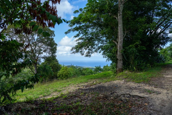 Thirteenth image of 11 Sussex, Lime Hall, st Ann in St. Ann's Bay, St. Ann, Jamaica - property is For Sale