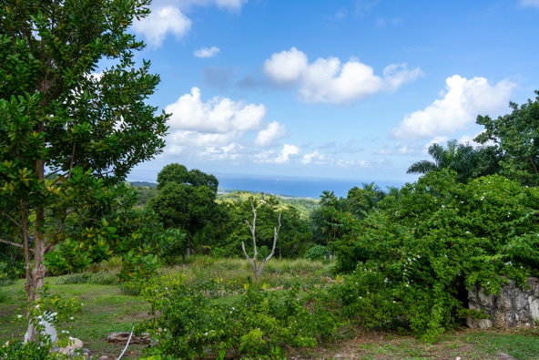 Fourteenth image of 11 Sussex, Lime Hall, st Ann in St. Ann's Bay, St. Ann, Jamaica - property is For Sale