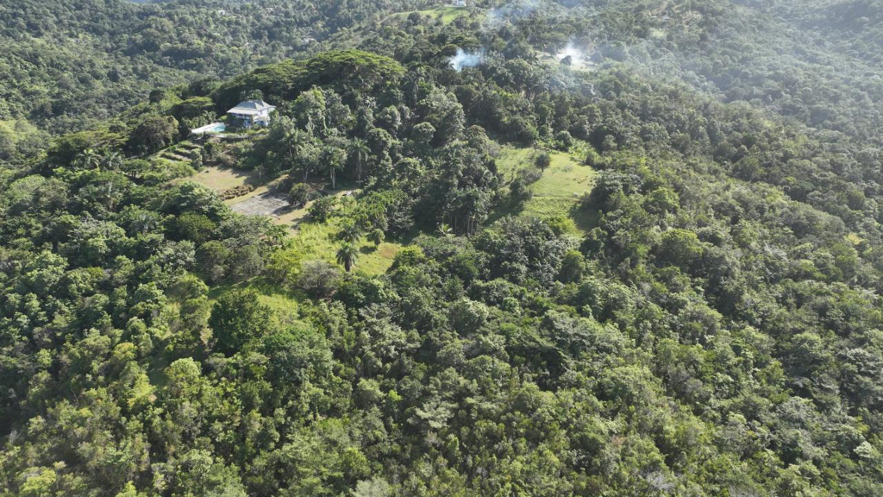 First image of 11 Sussex, Lime Hall, st Ann in St. Ann's Bay, St. Ann, Jamaica - property is For Sale