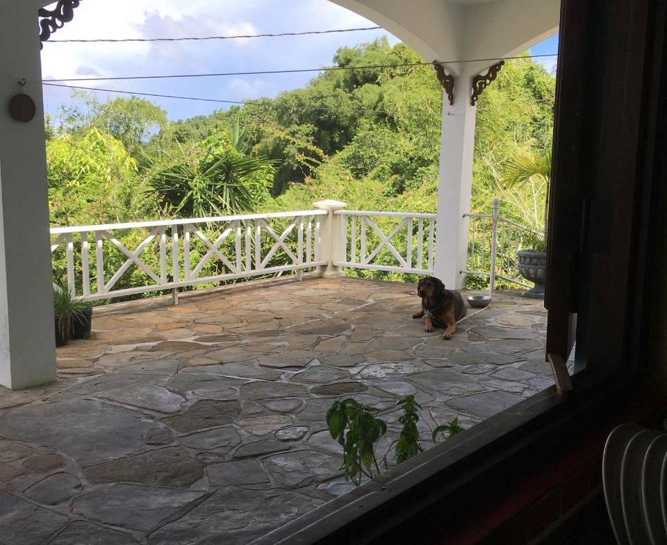 Eighteenth image of Oracabessa, st Mary in Oracabessa, St. Mary, Jamaica - property is For Sale