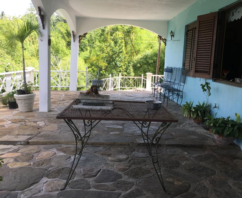 Nineteenth image of Oracabessa, st Mary in Oracabessa, St. Mary, Jamaica - property is For Sale