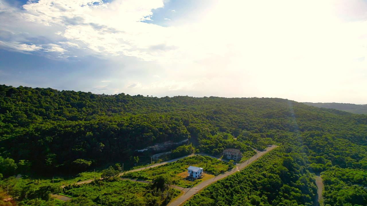 Fourth image of 375- Tamarind Ridge in Duncans, Trelawny, Jamaica - property is For Sale