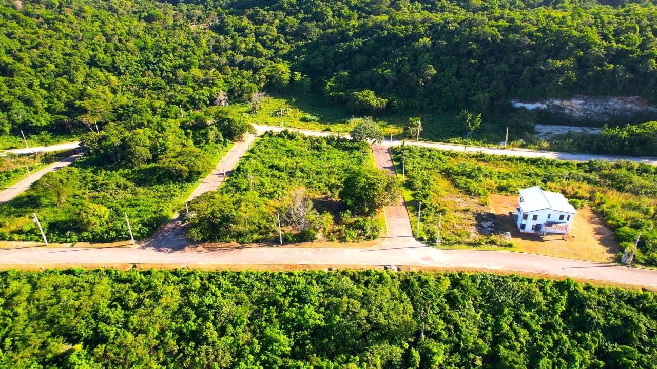 Twelfth image of 379- Tamarind Ridge in Duncans, Trelawny, Jamaica - property is For Sale