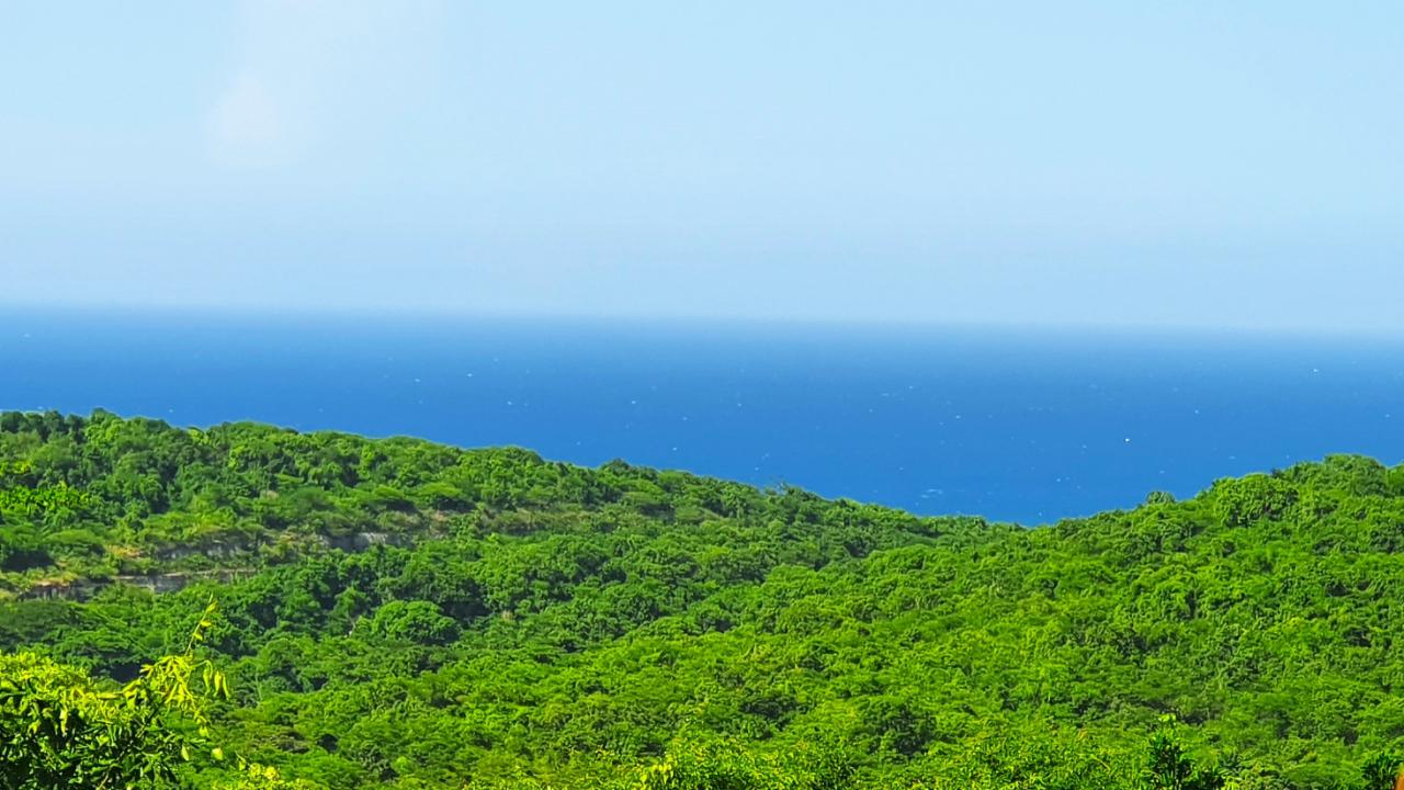 Sixth image of 272- Tamarind Ridge in Duncans, Trelawny, Jamaica - property is For Sale