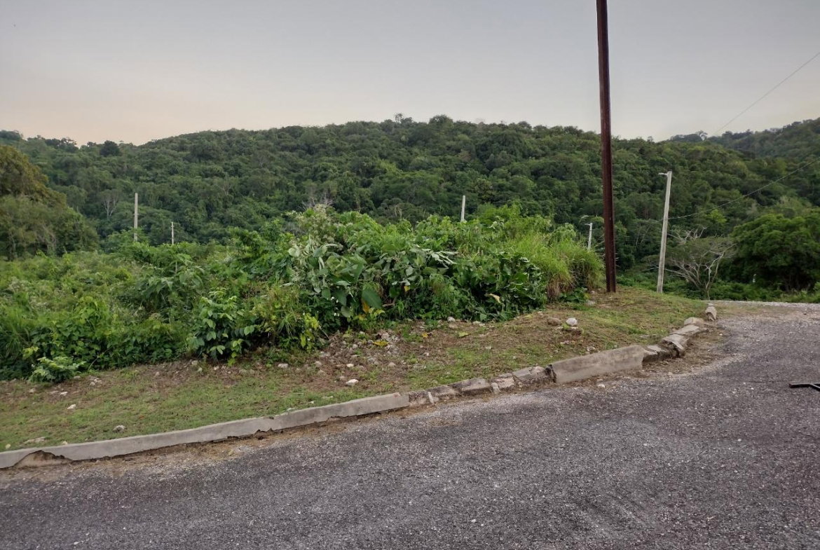 Eleventh image of Lot 367 Tamarind Ridge in Duncans, Trelawny, Jamaica - property is For Sale