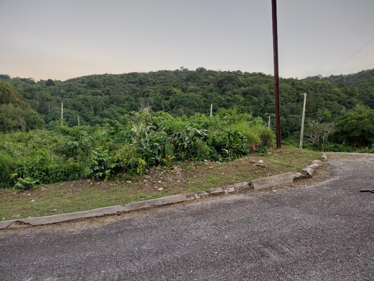 Eleventh image of Lot 367 Tamarind Ridge in Duncans, Trelawny, Jamaica - property is For Sale