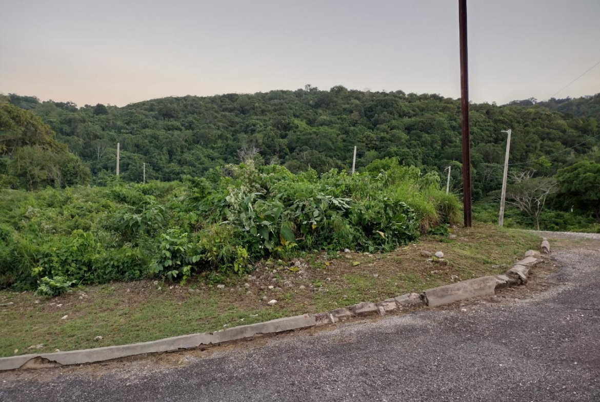 Twelfth image of Lot 367 Tamarind Ridge in Duncans, Trelawny, Jamaica - property is For Sale